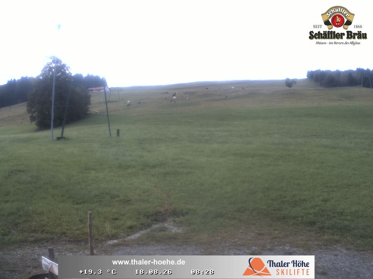 Archiv Foto Webcam Thalerhöhe bei Immenstadt