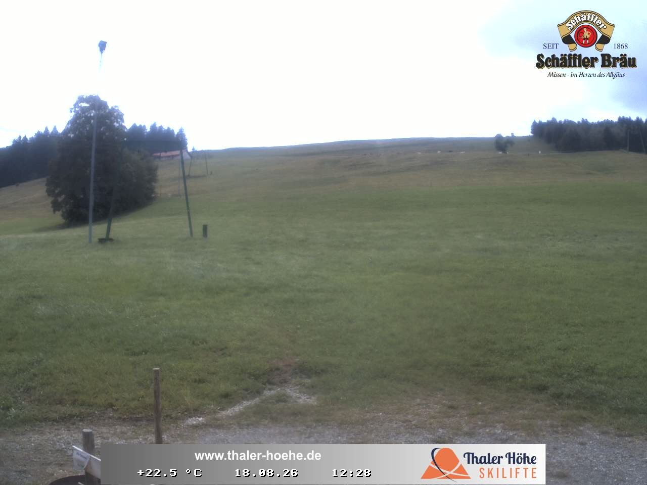 Archiv Foto Webcam Thalerhöhe bei Immenstadt