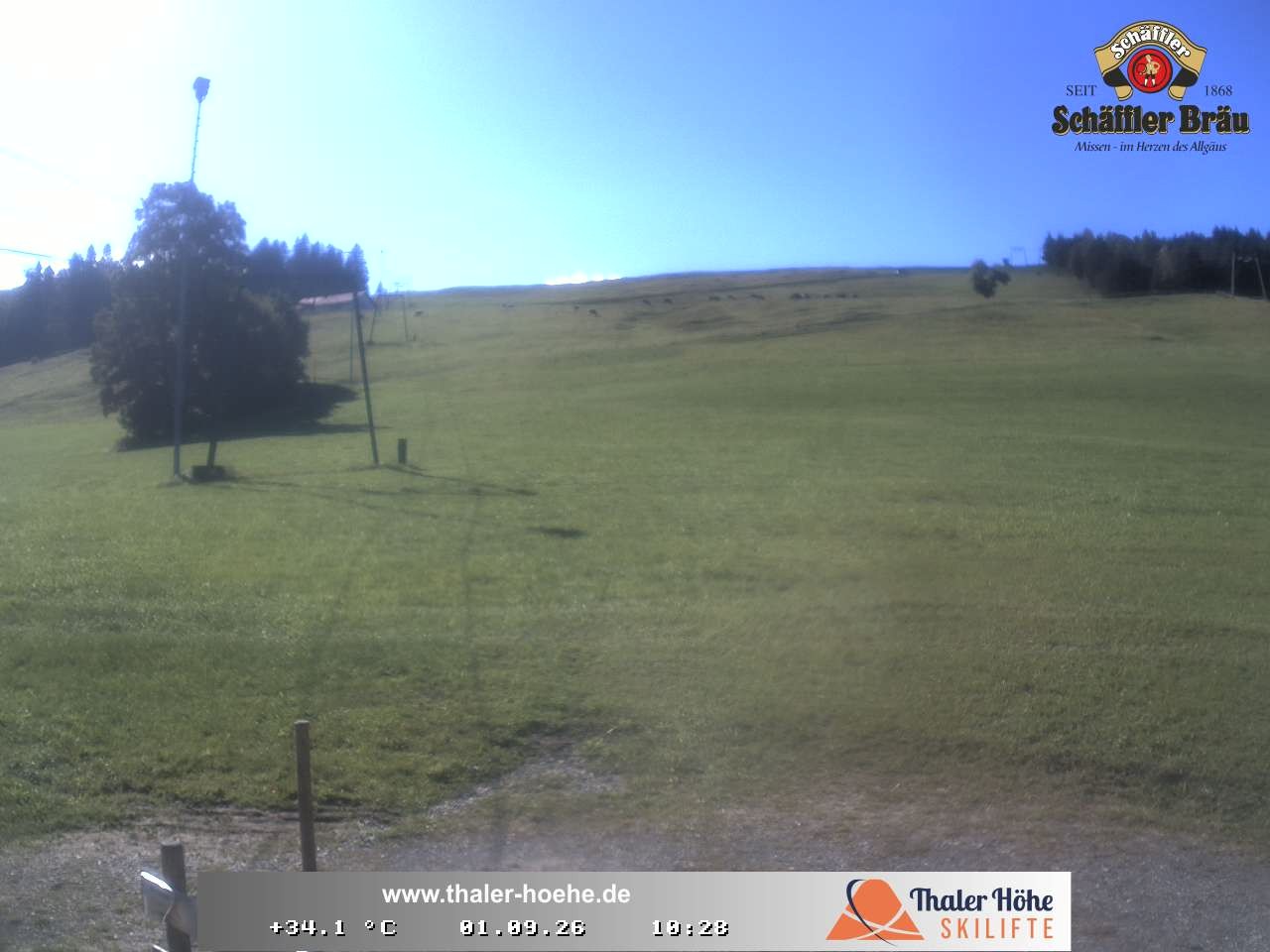 Archiv Foto Webcam Thalerhöhe bei Immenstadt