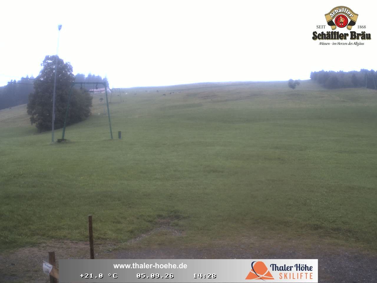 Archived image Webcam Thalerhöhe near Immenstadt