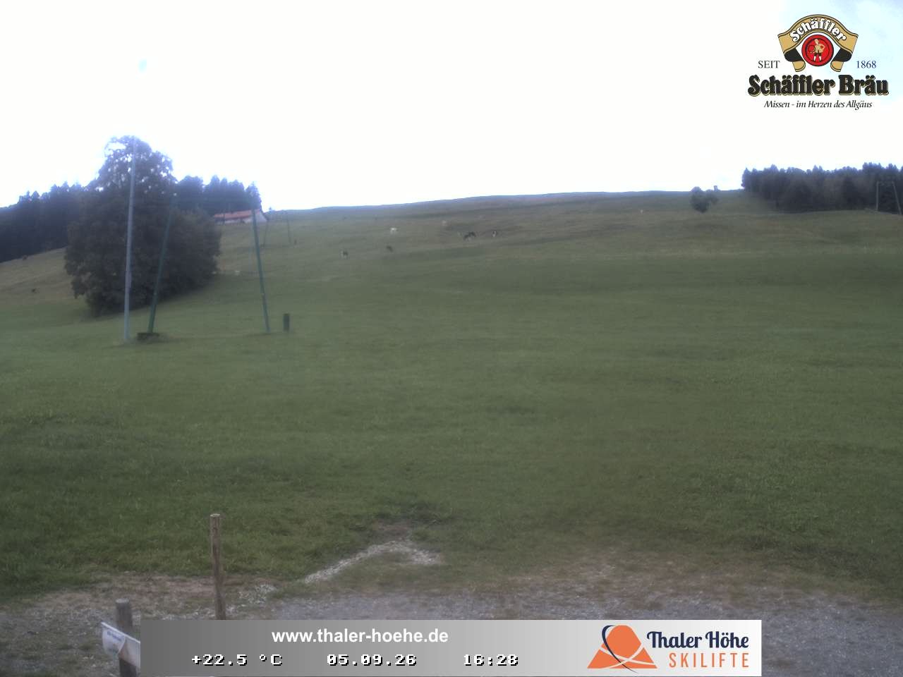 Archived image Webcam Thalerhöhe near Immenstadt