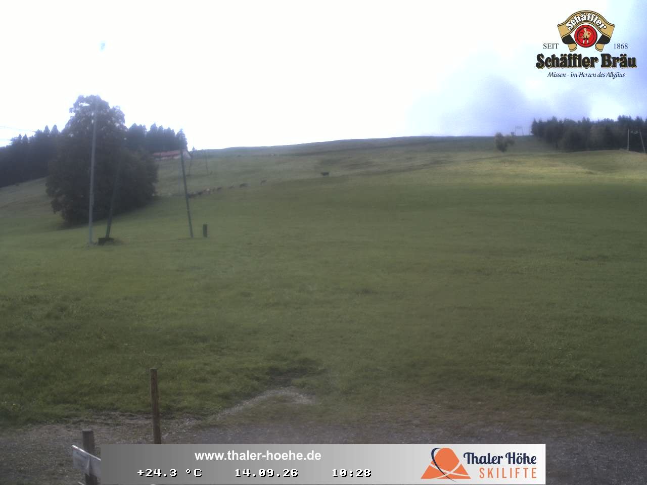 Archiv Foto Webcam Thalerhöhe bei Immenstadt