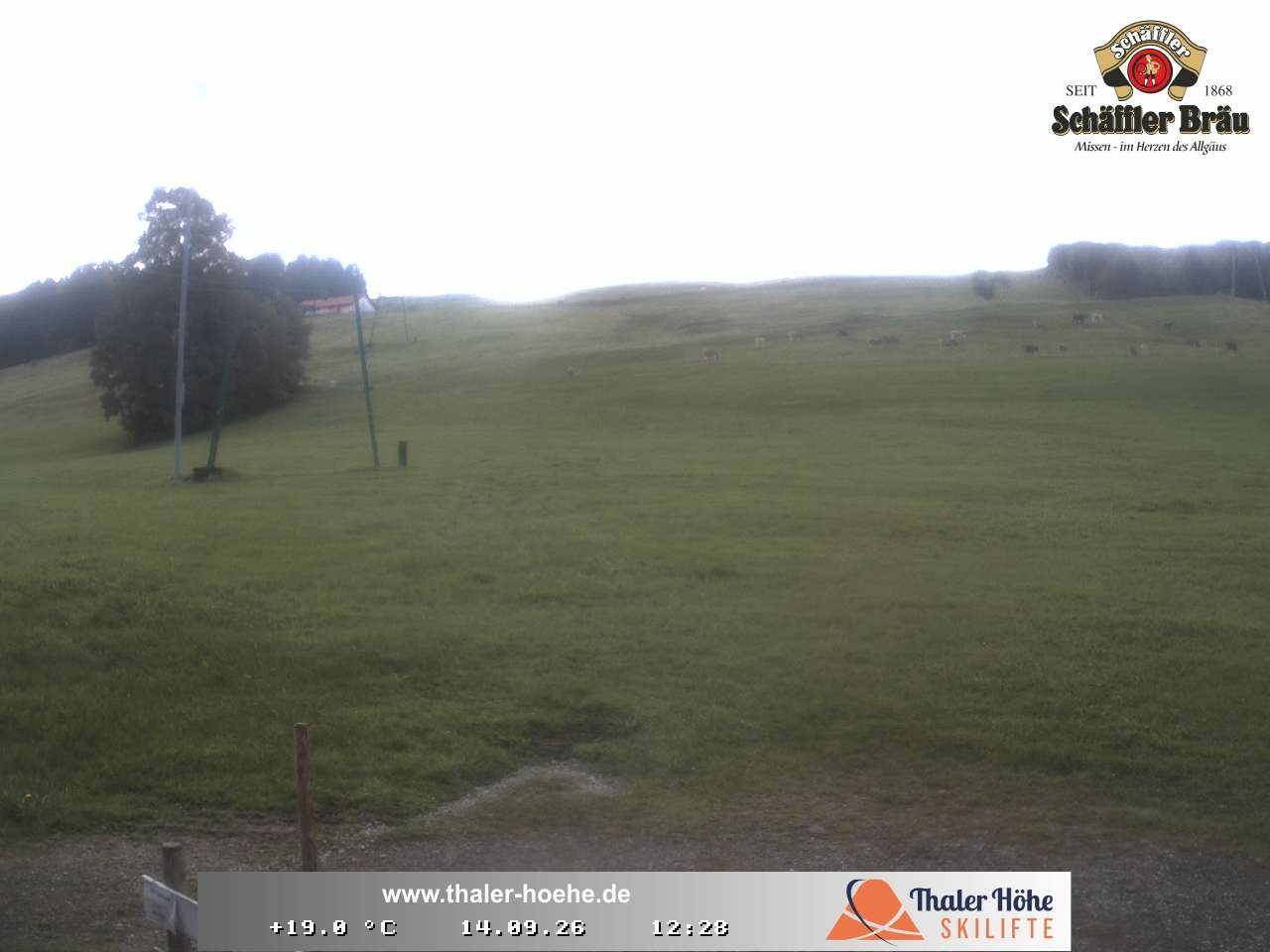 Archiv Foto Webcam Thalerhöhe bei Immenstadt