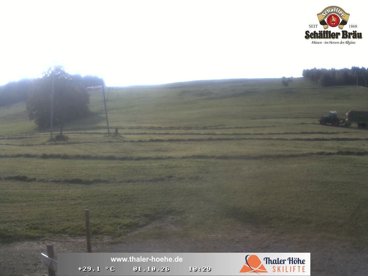 Archiv Foto Webcam Thalerhöhe bei Immenstadt