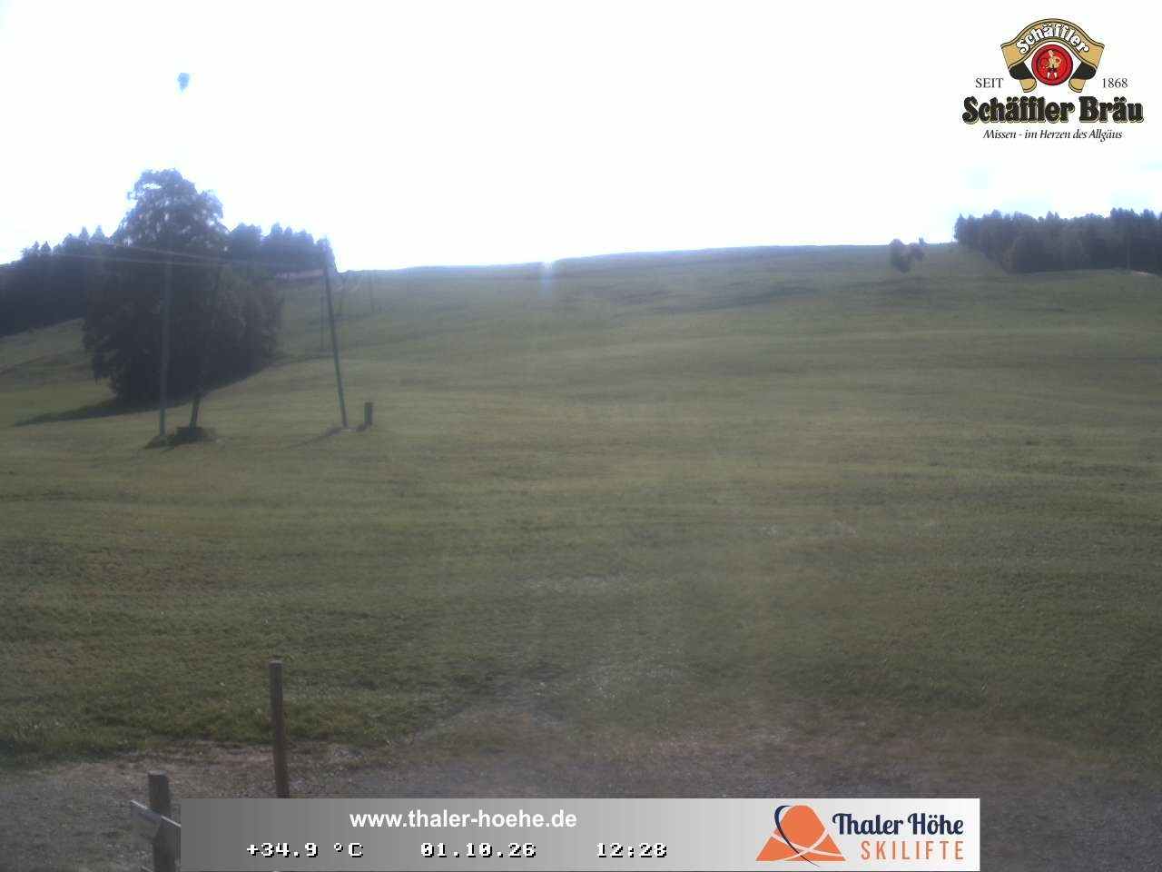 Archiv Foto Webcam Thalerhöhe bei Immenstadt