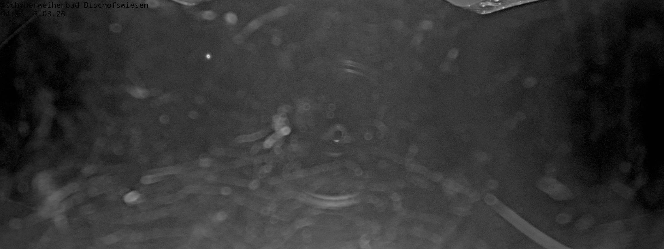 Archiv Foto Webcam Bischofswiesen: Naturbad Aschauerweiher