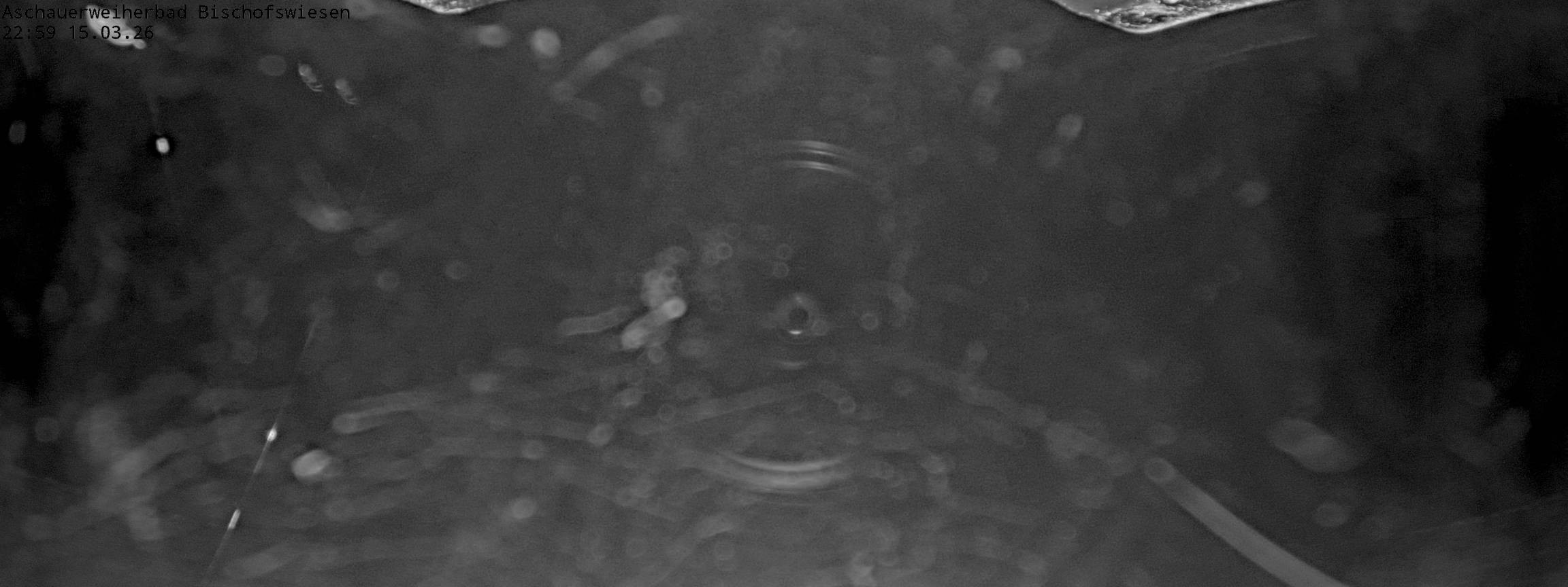 Archiv Foto Webcam Bischofswiesen: Naturbad Aschauerweiher