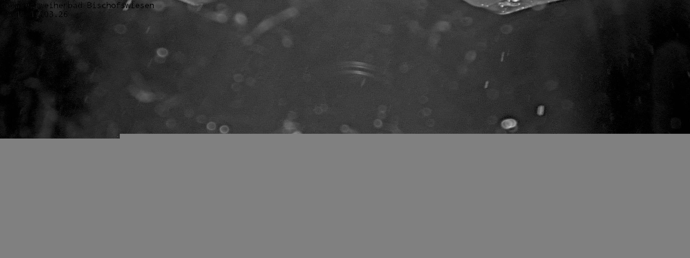 Archiv Foto Webcam Bischofswiesen: Naturbad Aschauerweiher