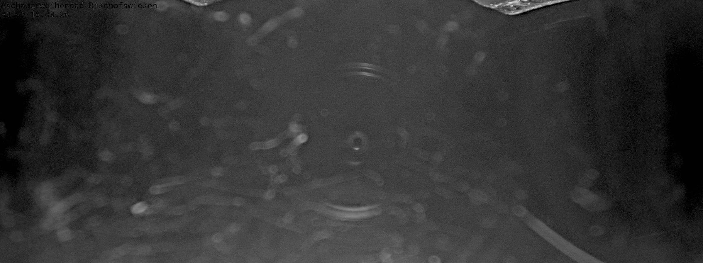 Archiv Foto Webcam Bischofswiesen: Naturbad Aschauerweiher