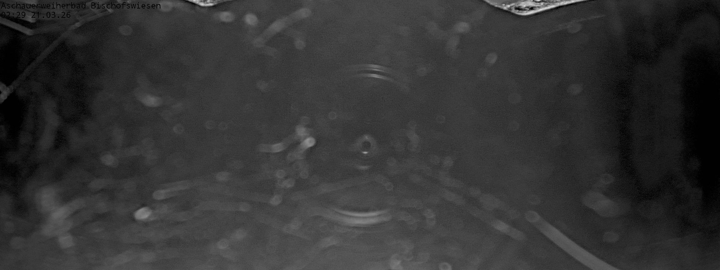 Archived image Webcam nature baths Aschauerweiher