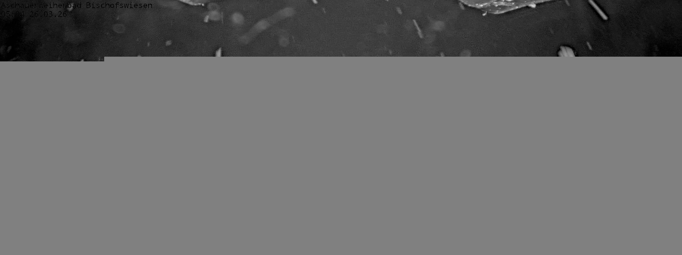 Archived image Webcam nature baths Aschauerweiher