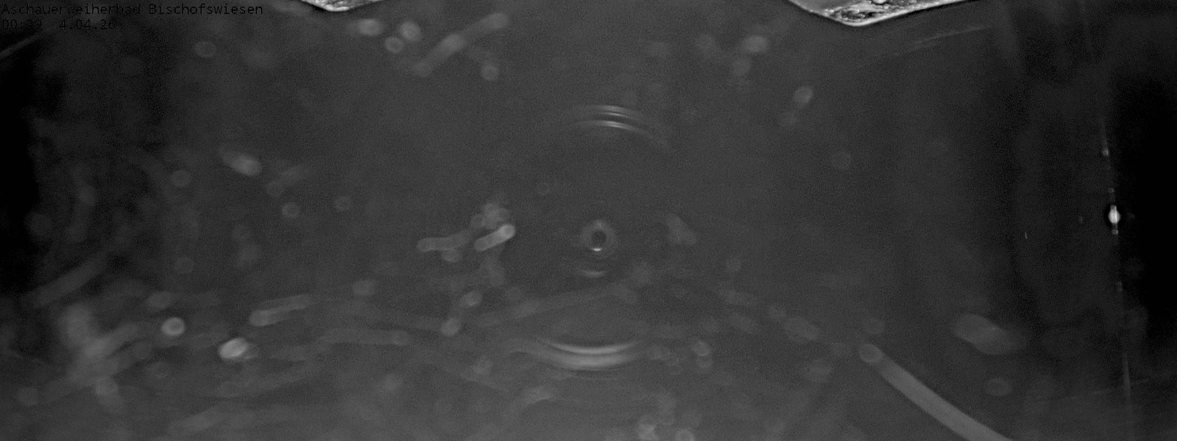 Archiv Foto Webcam Bischofswiesen: Naturbad Aschauerweiher