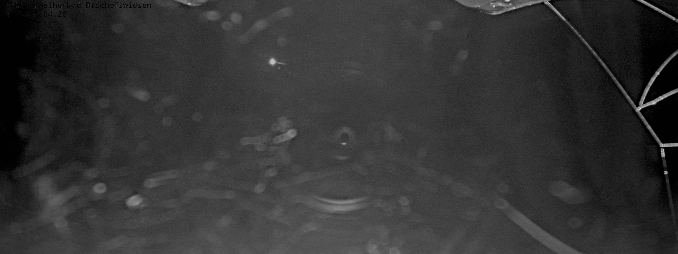 Archived image Webcam nature baths Aschauerweiher