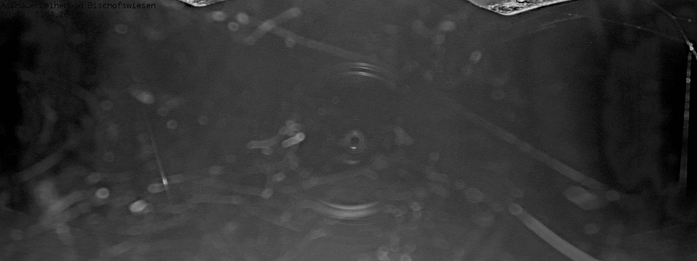 Archived image Webcam nature baths Aschauerweiher