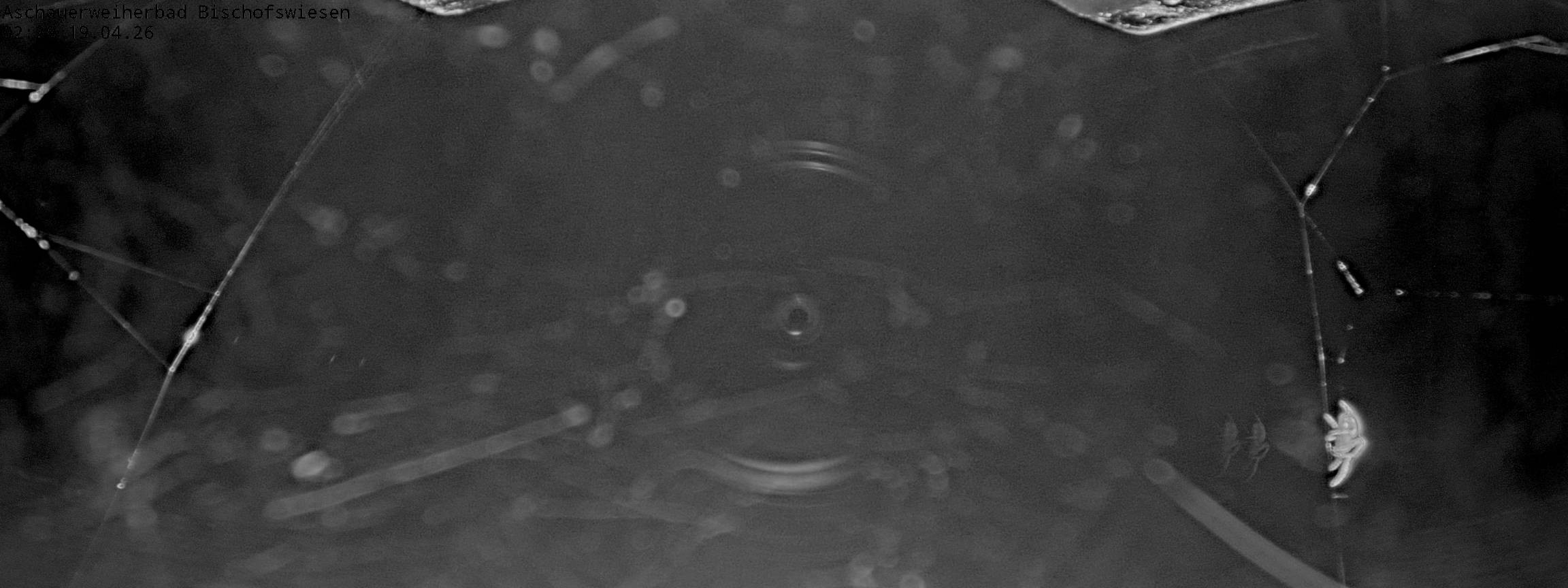 Archiv Foto Webcam Bischofswiesen: Naturbad Aschauerweiher