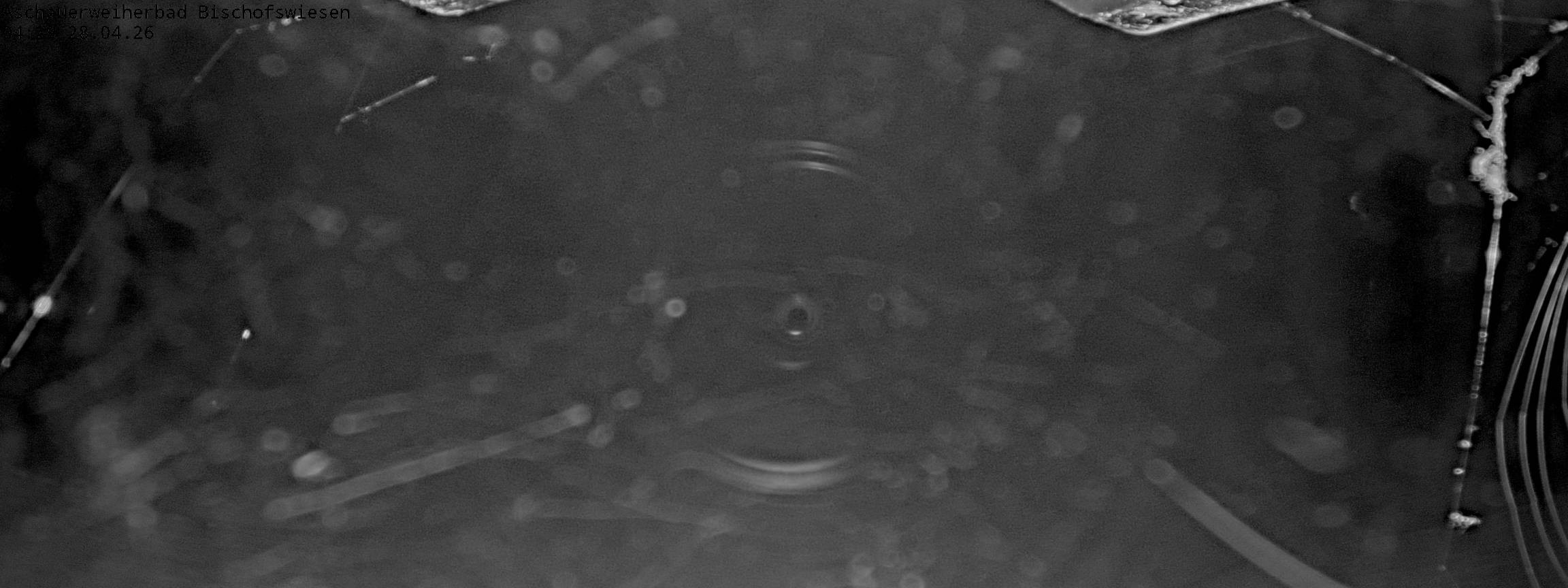 Archiv Foto Webcam Bischofswiesen: Naturbad Aschauerweiher