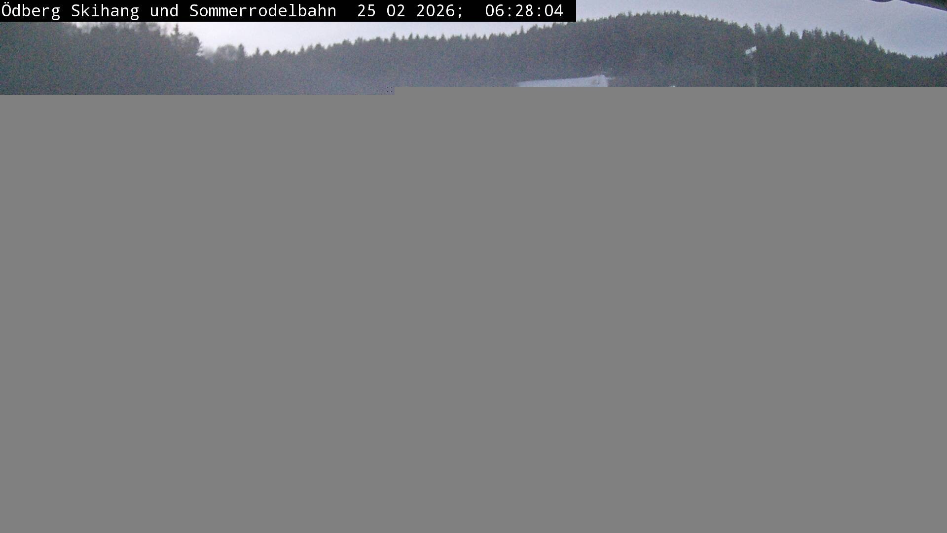 Archiv Foto Webcam Sommerrodelbahn Ödberg