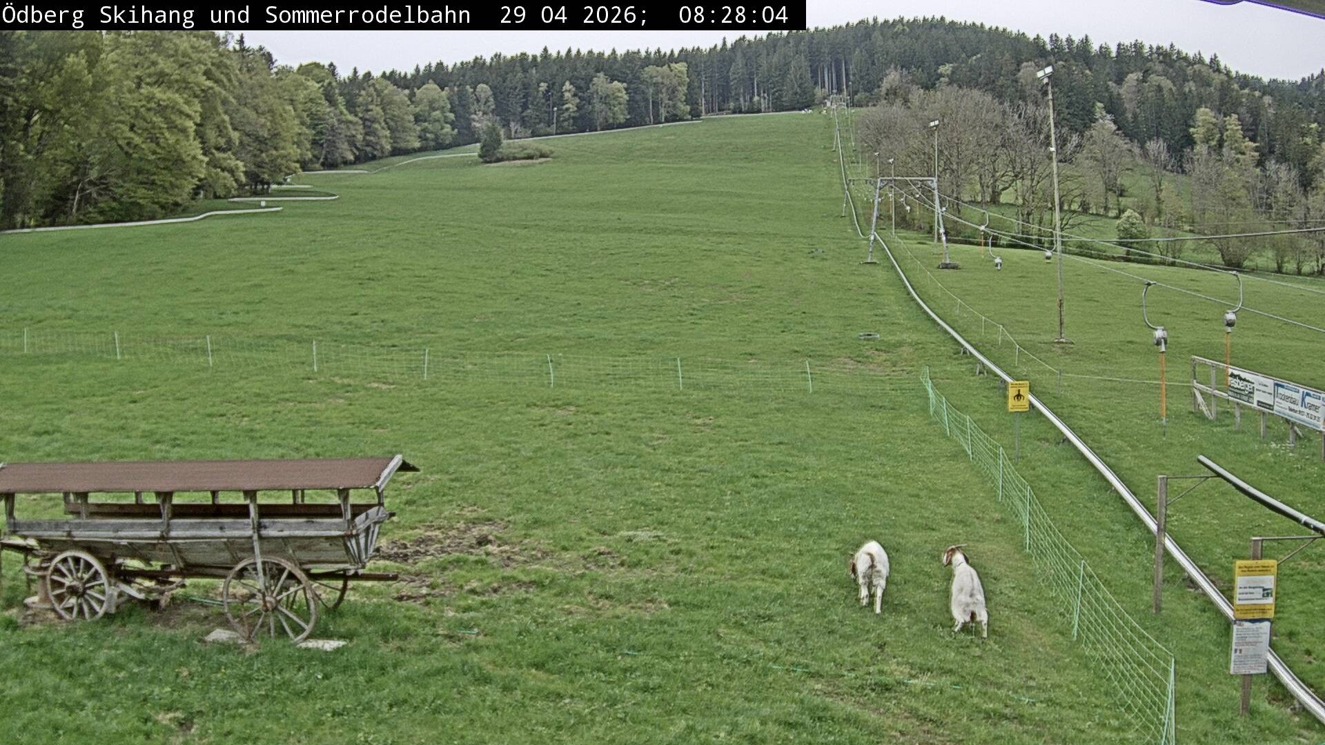 Archiv Foto Webcam Sommerrodelbahn Ödberg