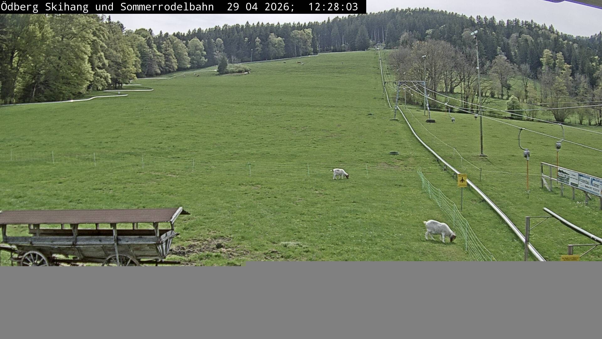 Archiv Foto Webcam Sommerrodelbahn Ödberg