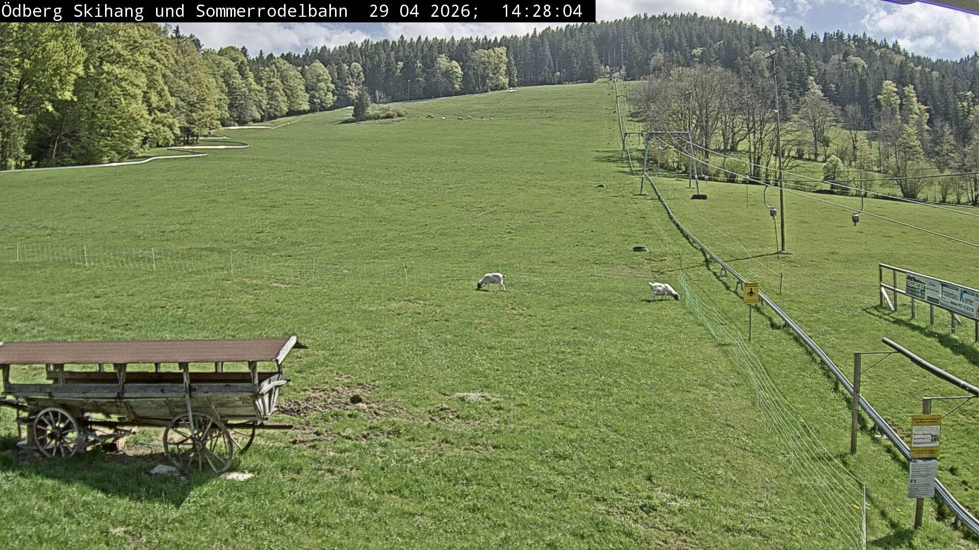 Archiv Foto Webcam Sommerrodelbahn Ödberg