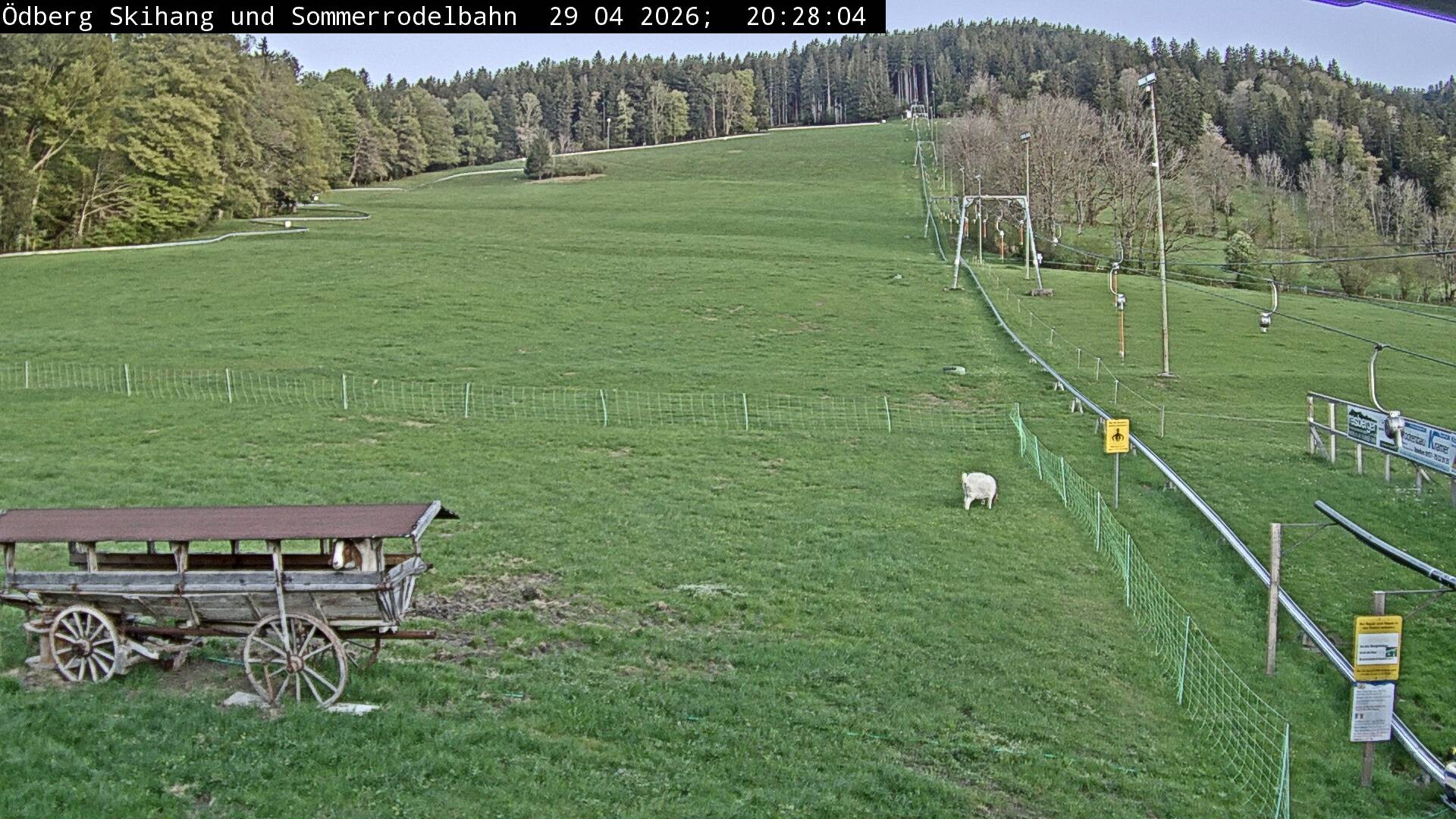 Archiv Foto Webcam Sommerrodelbahn Ödberg