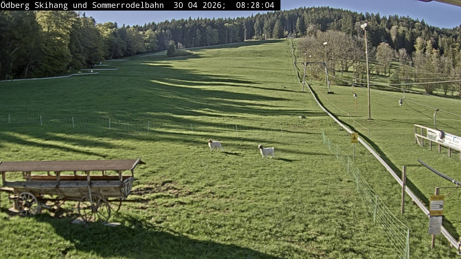 Archiv Foto Webcam Sommerrodelbahn Ödberg