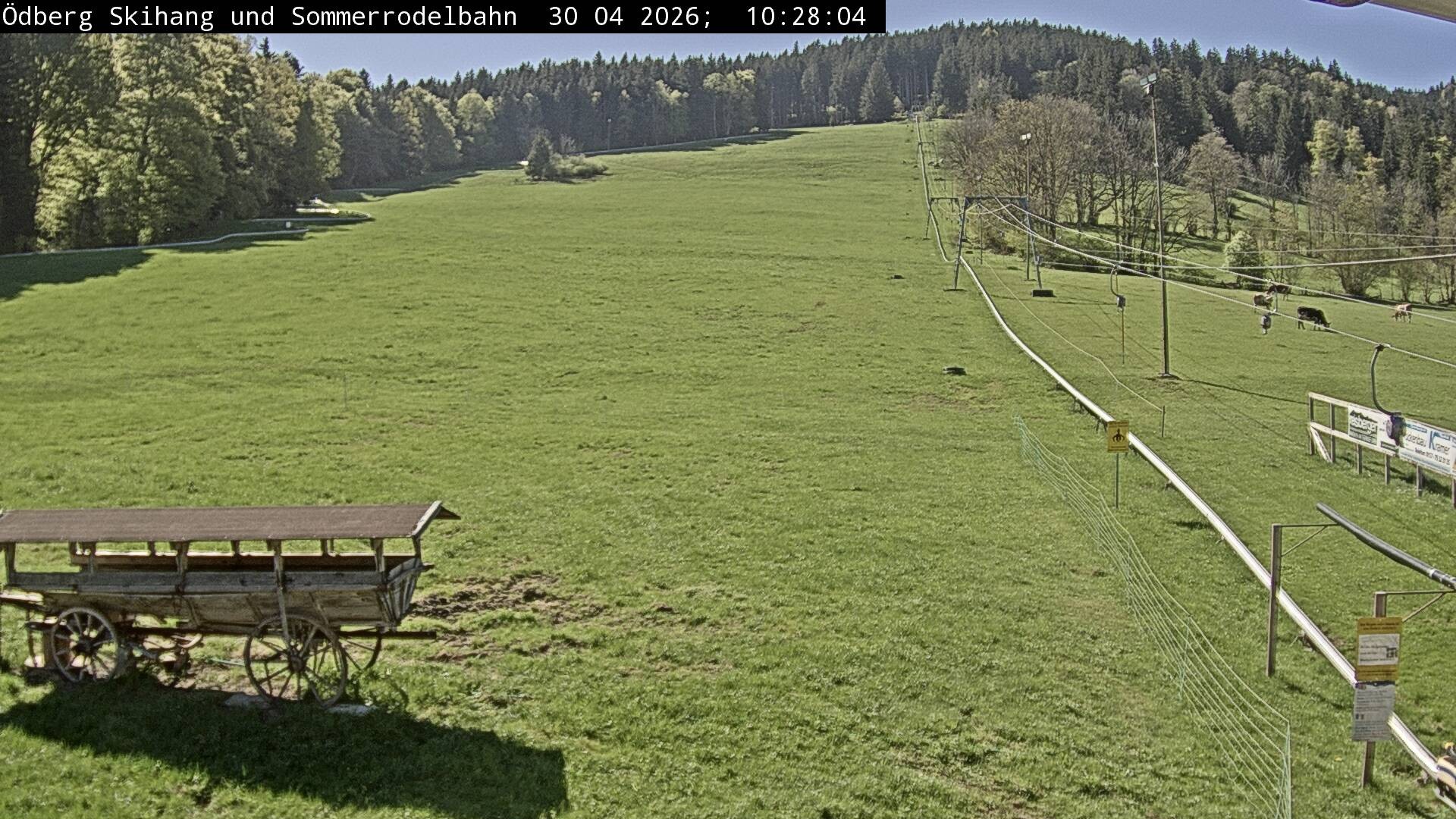 Archiv Foto Webcam Sommerrodelbahn Ödberg