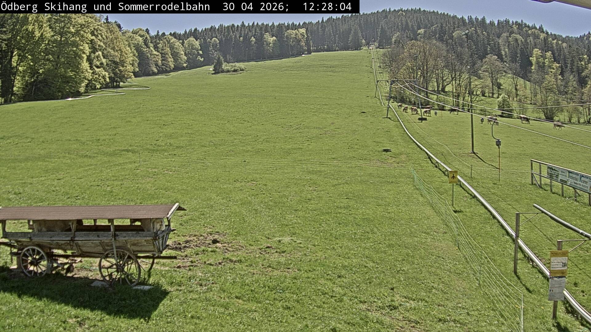 Archiv Foto Webcam Sommerrodelbahn Ödberg