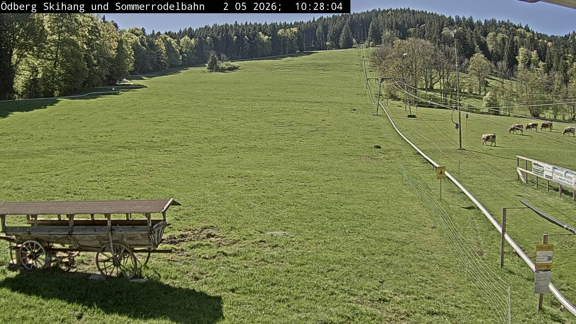 Archiv Foto Webcam Sommerrodelbahn Ödberg