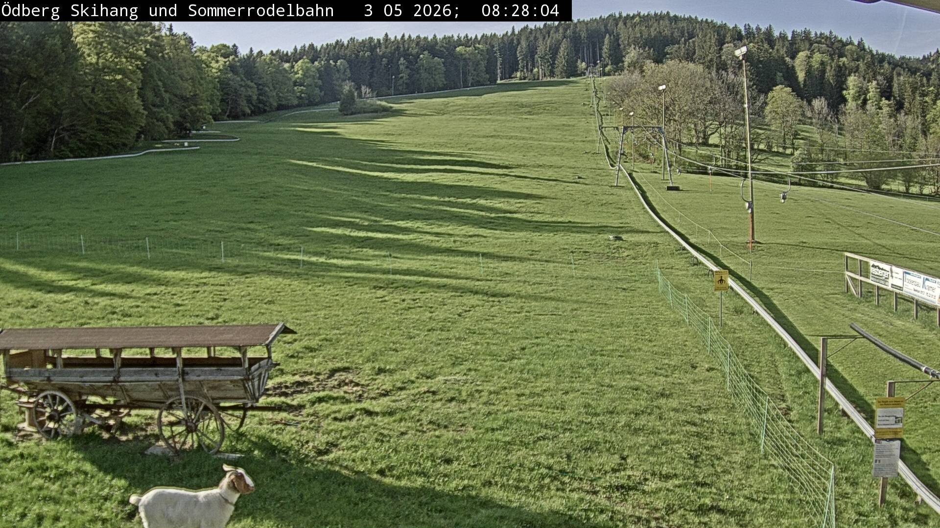 Archiv Foto Webcam Sommerrodelbahn Ödberg