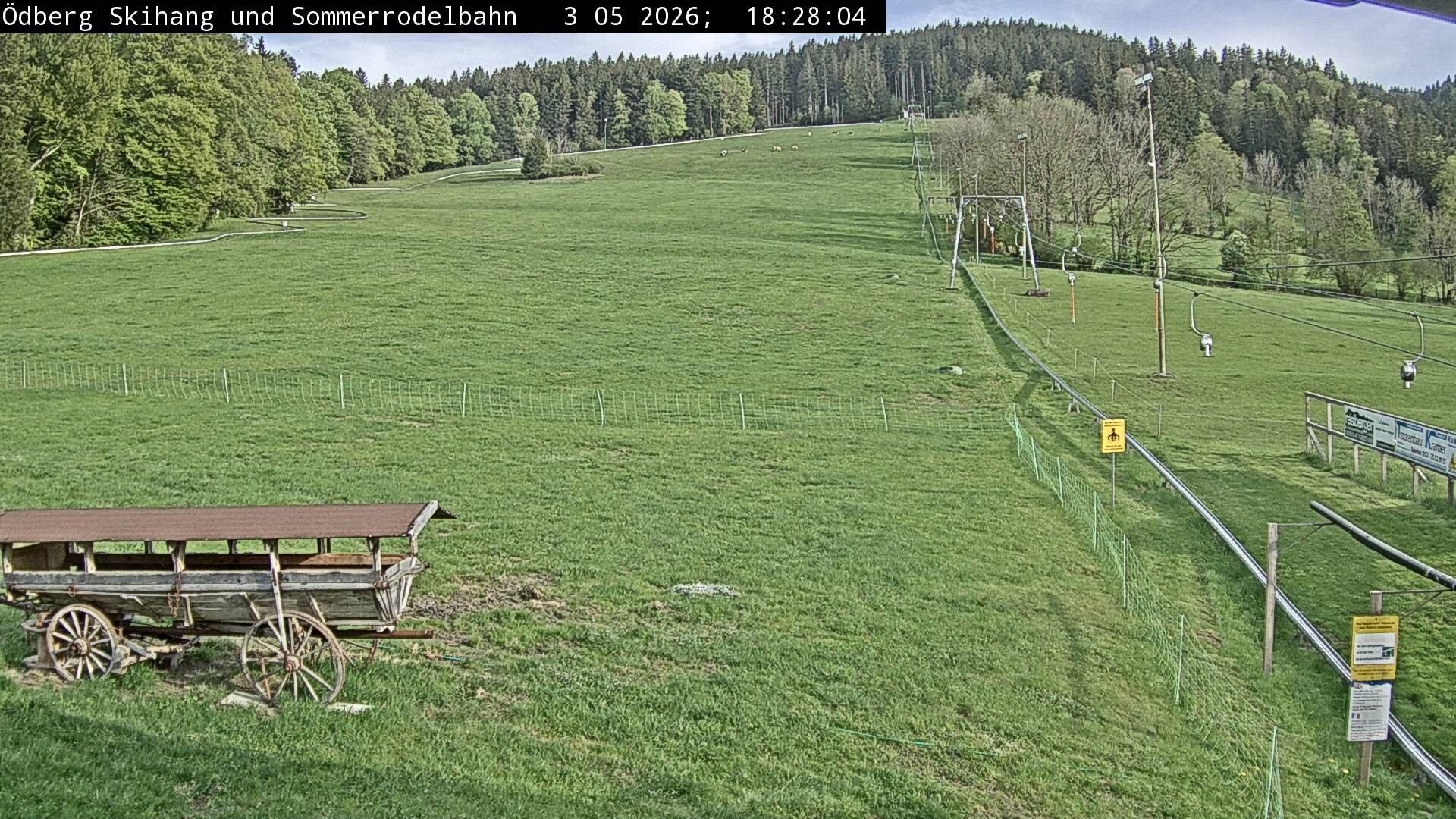 Archiv Foto Webcam Sommerrodelbahn Ödberg