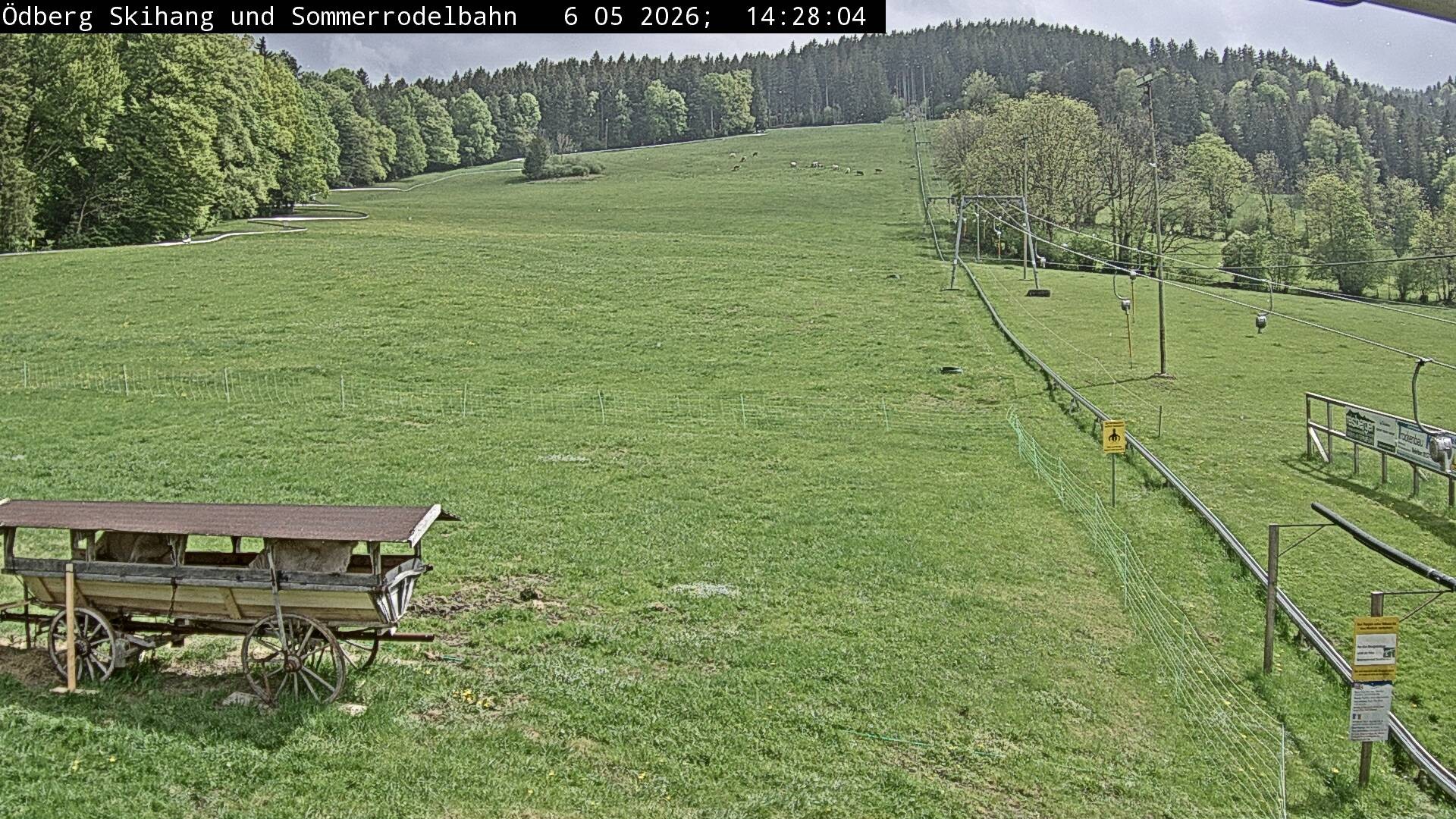 Archiv Foto Webcam Sommerrodelbahn Ödberg