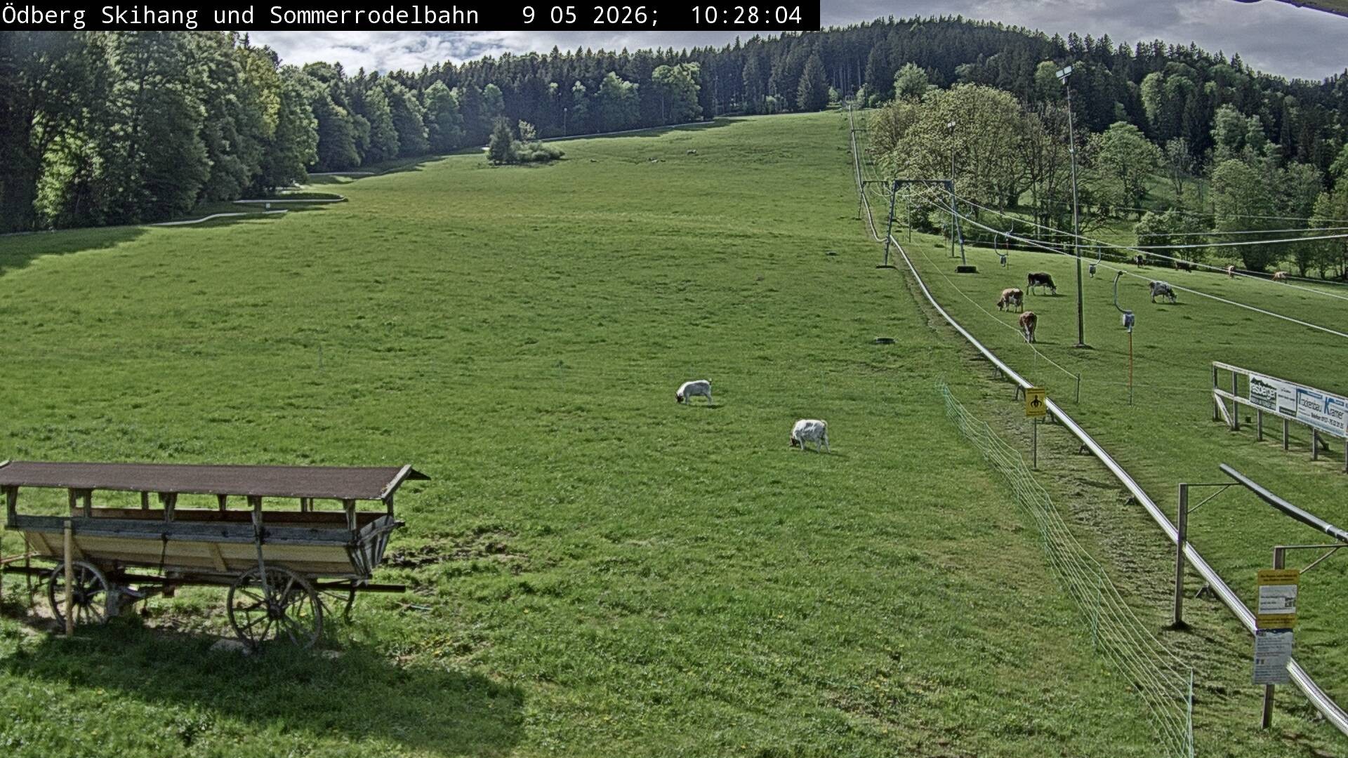 Archiv Foto Webcam Sommerrodelbahn Ödberg