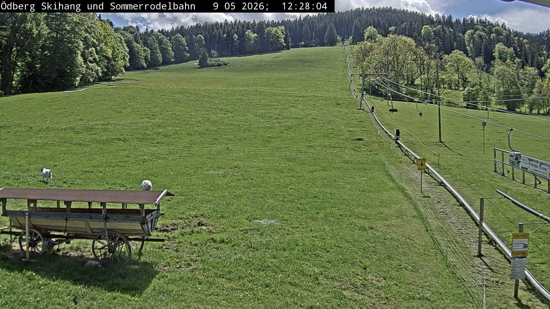 Archiv Foto Webcam Sommerrodelbahn Ödberg