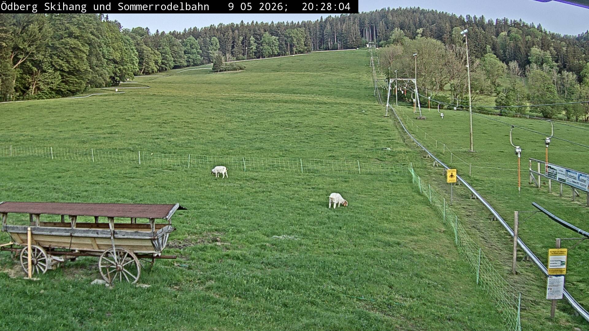 Archiv Foto Webcam Sommerrodelbahn Ödberg