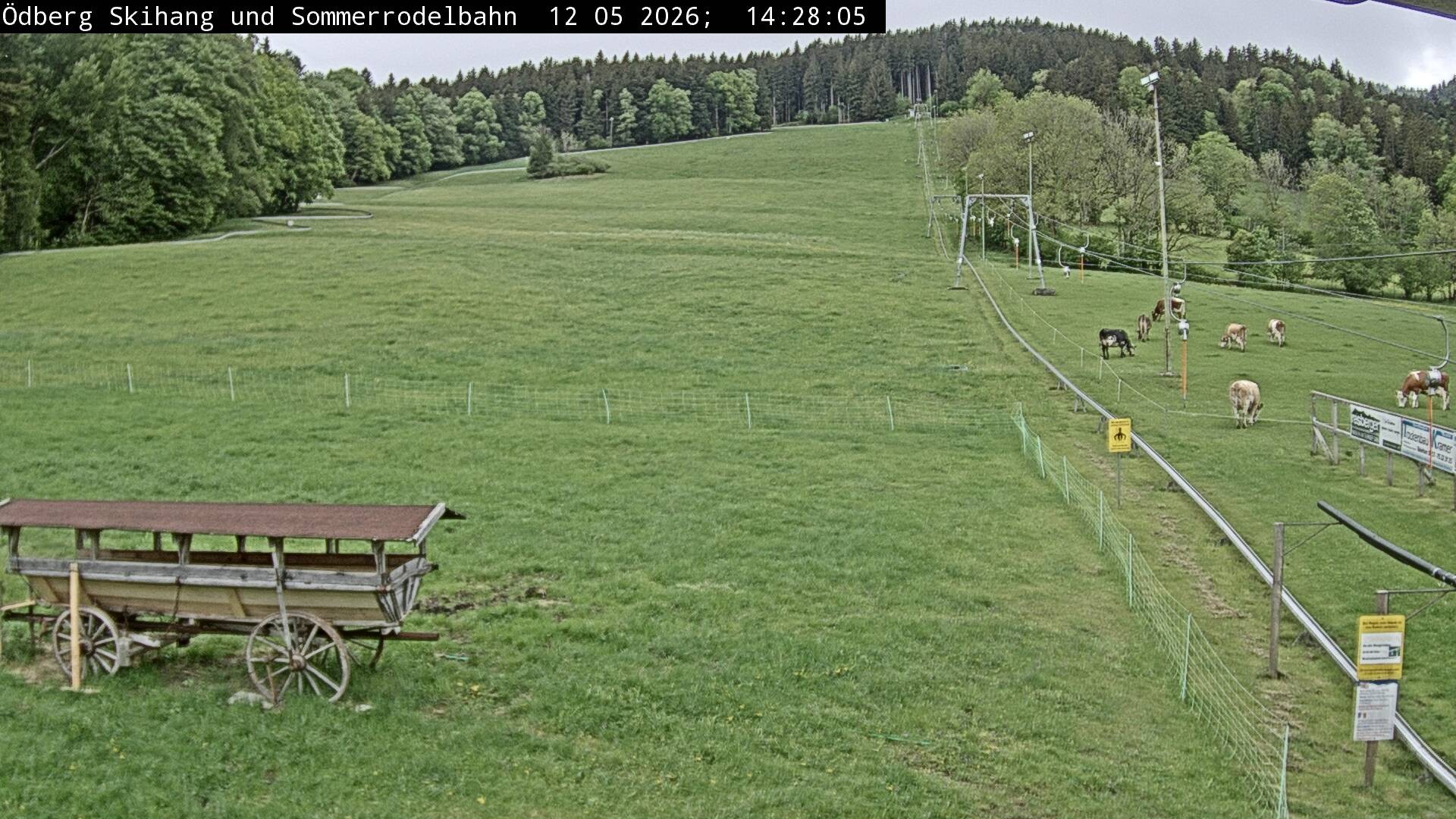 Archiv Foto Webcam Sommerrodelbahn Ödberg