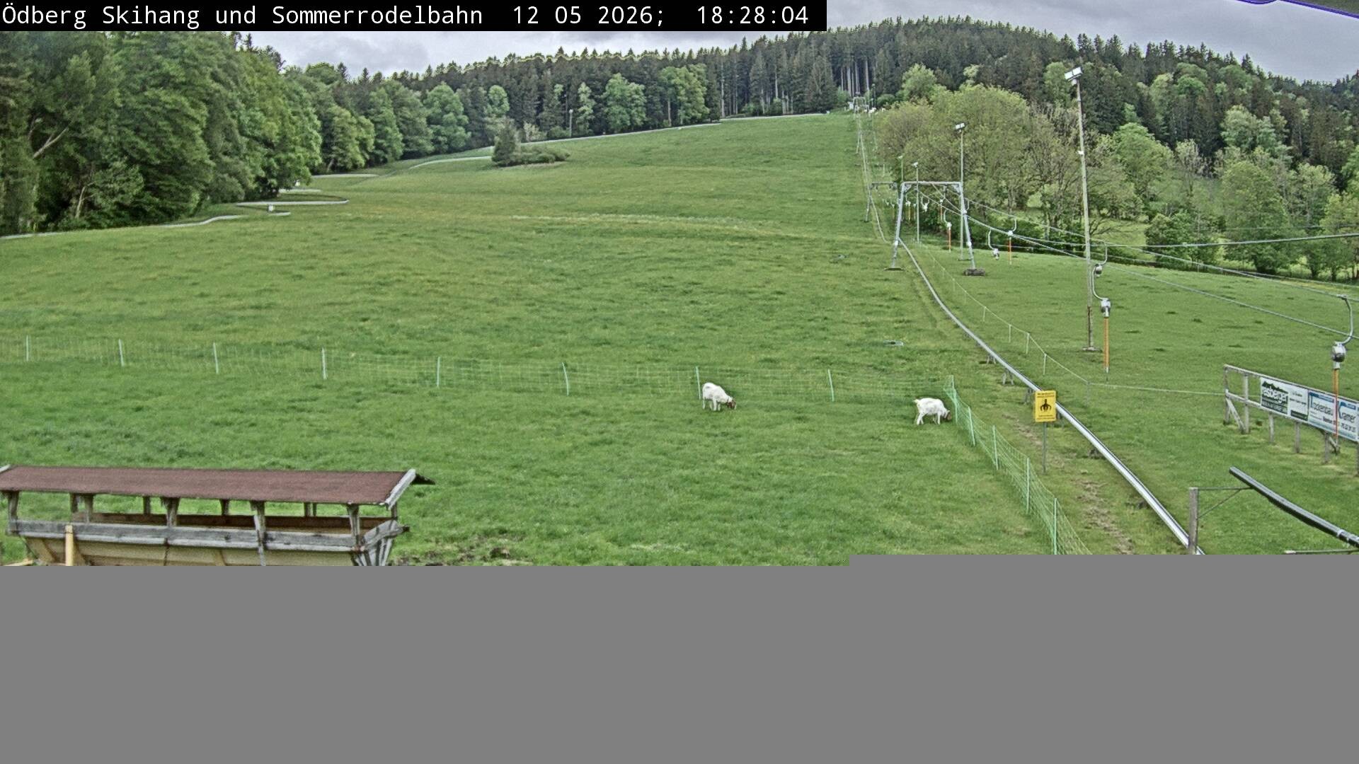 Archiv Foto Webcam Sommerrodelbahn Ödberg