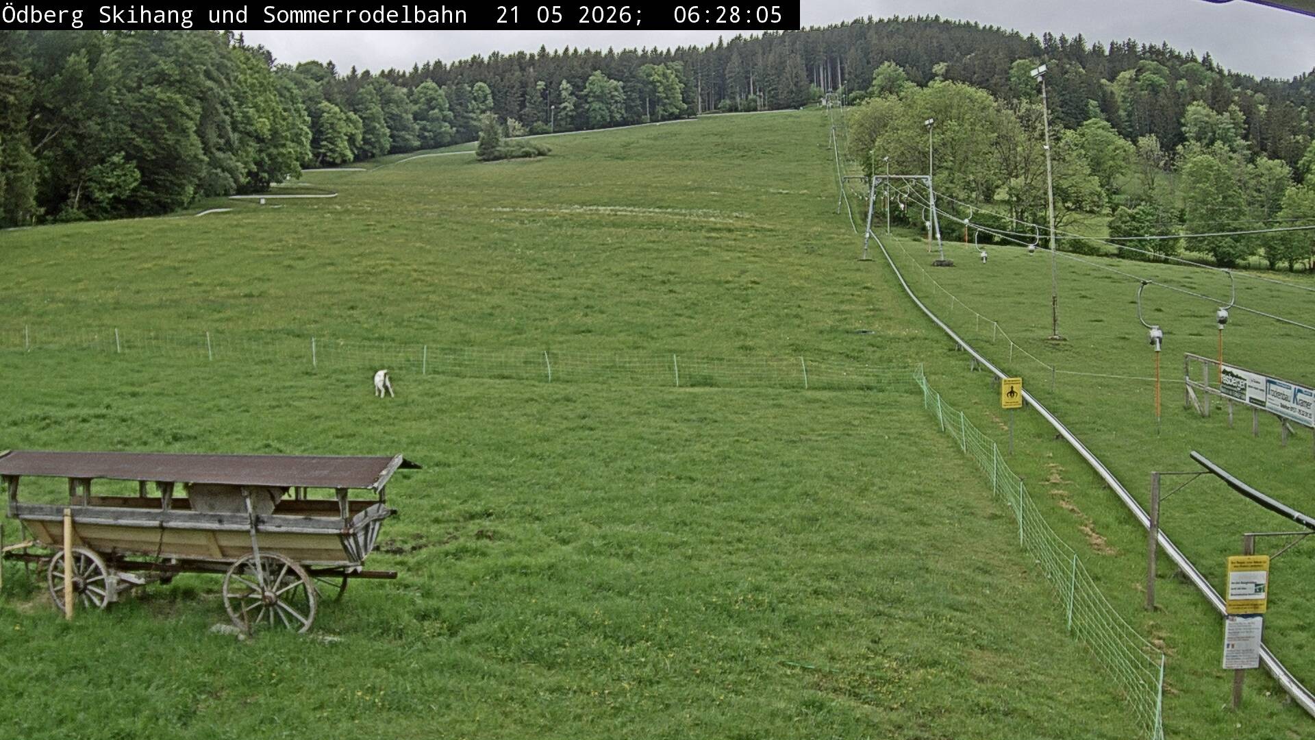 Archiv Foto Webcam Sommerrodelbahn Ödberg