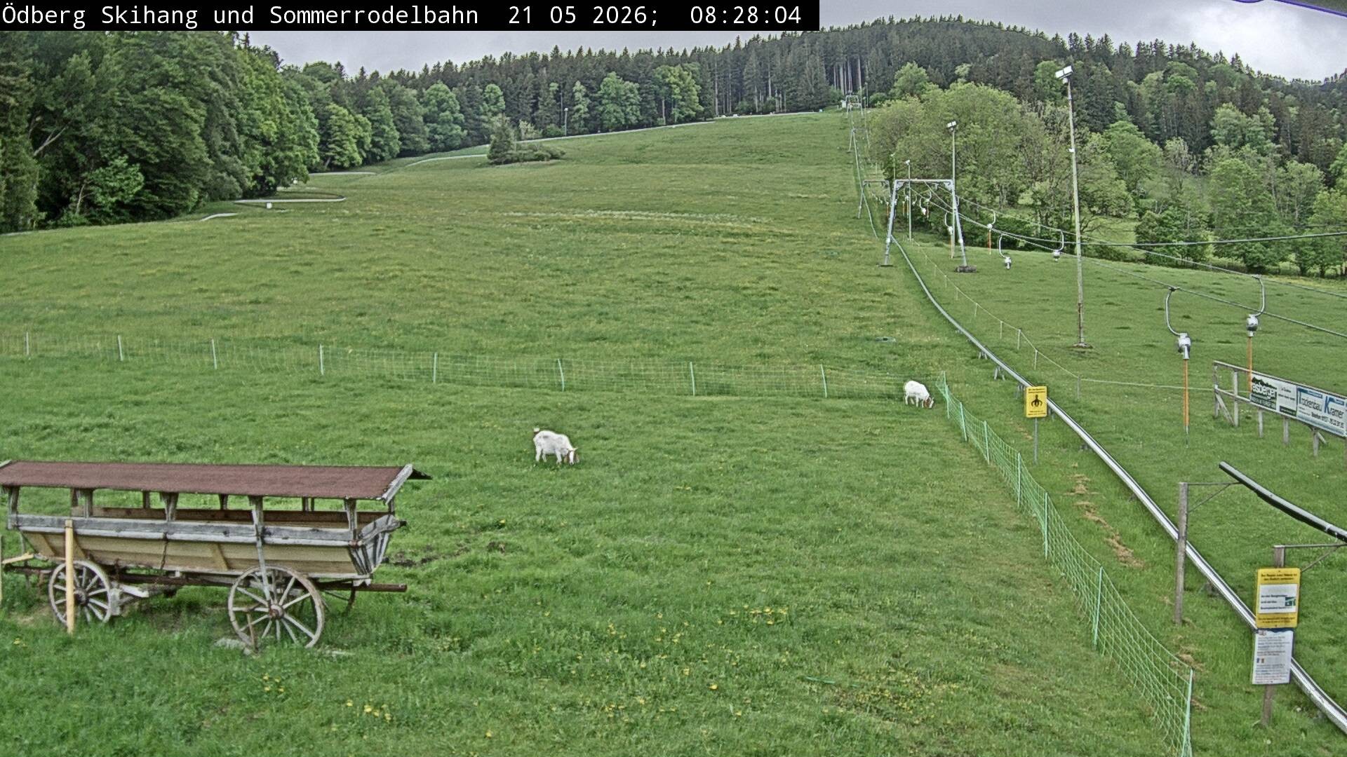 Archiv Foto Webcam Sommerrodelbahn Ödberg
