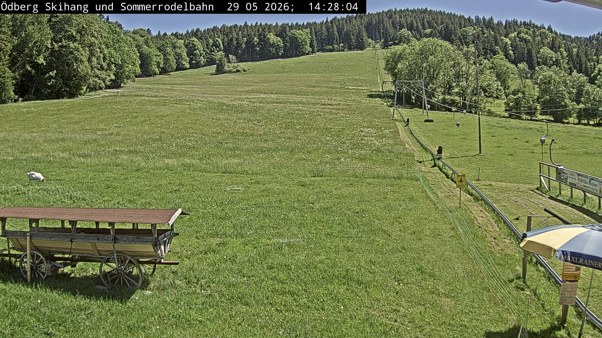 Archiv Foto Webcam Sommerrodelbahn Ödberg