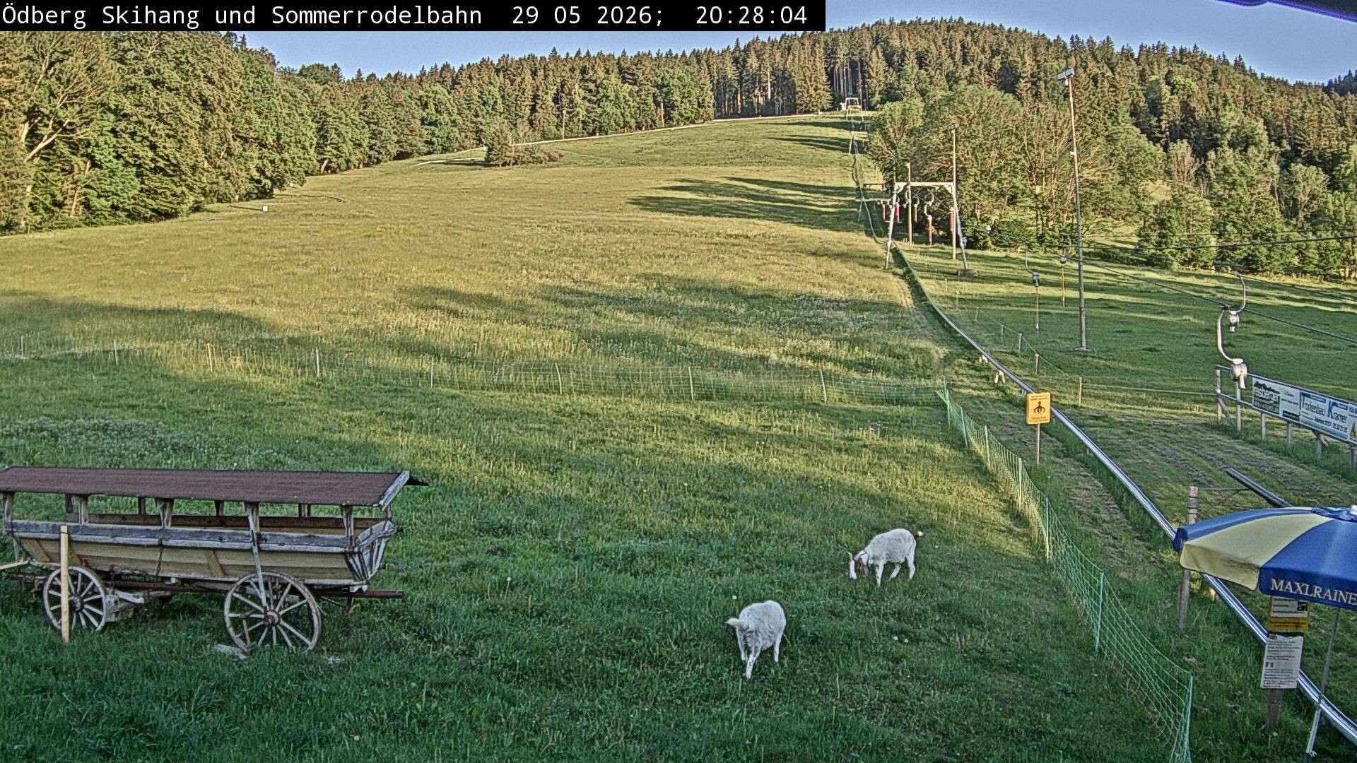 Archiv Foto Webcam Sommerrodelbahn Ödberg