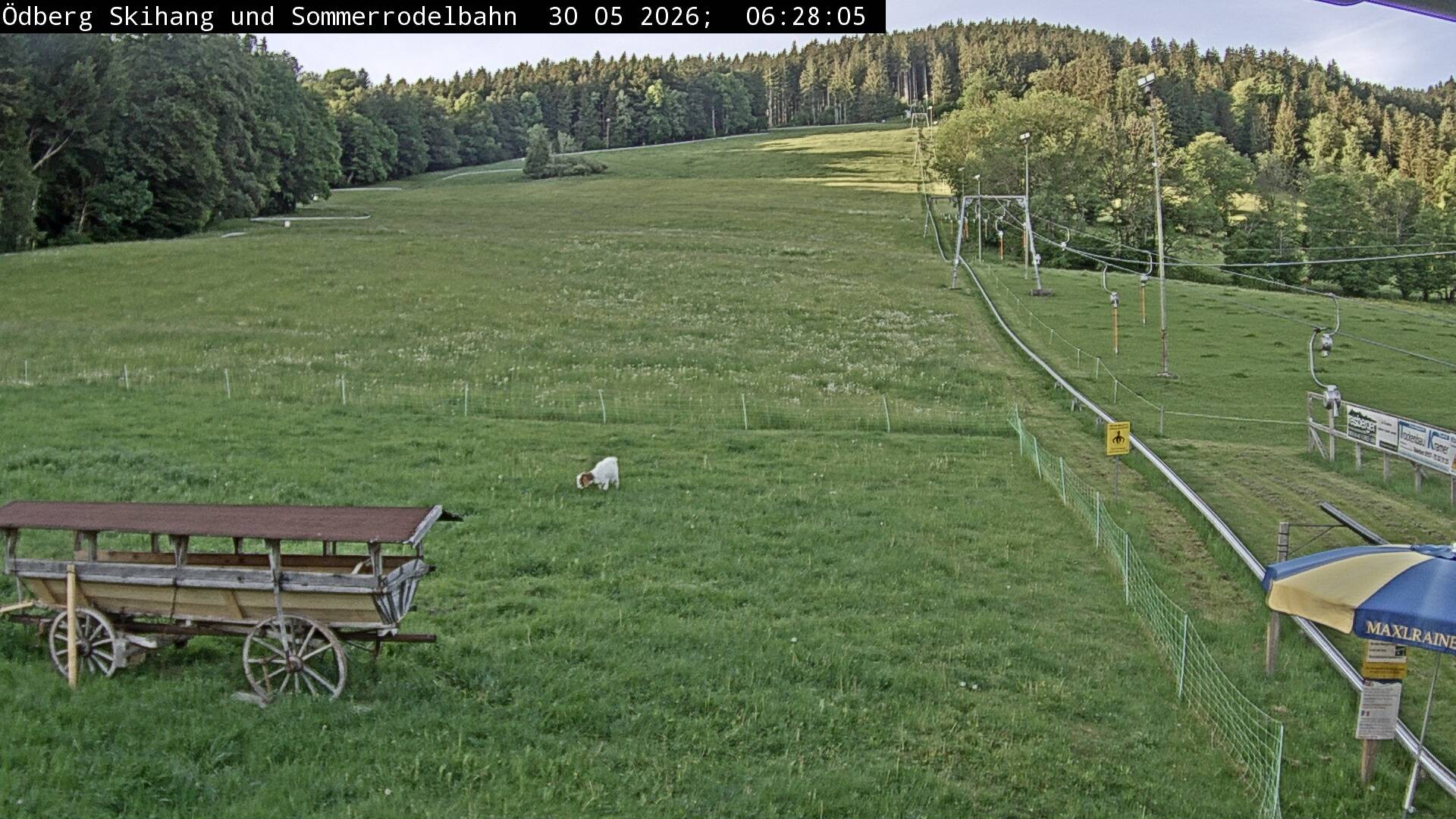 Archiv Foto Webcam Sommerrodelbahn Ödberg
