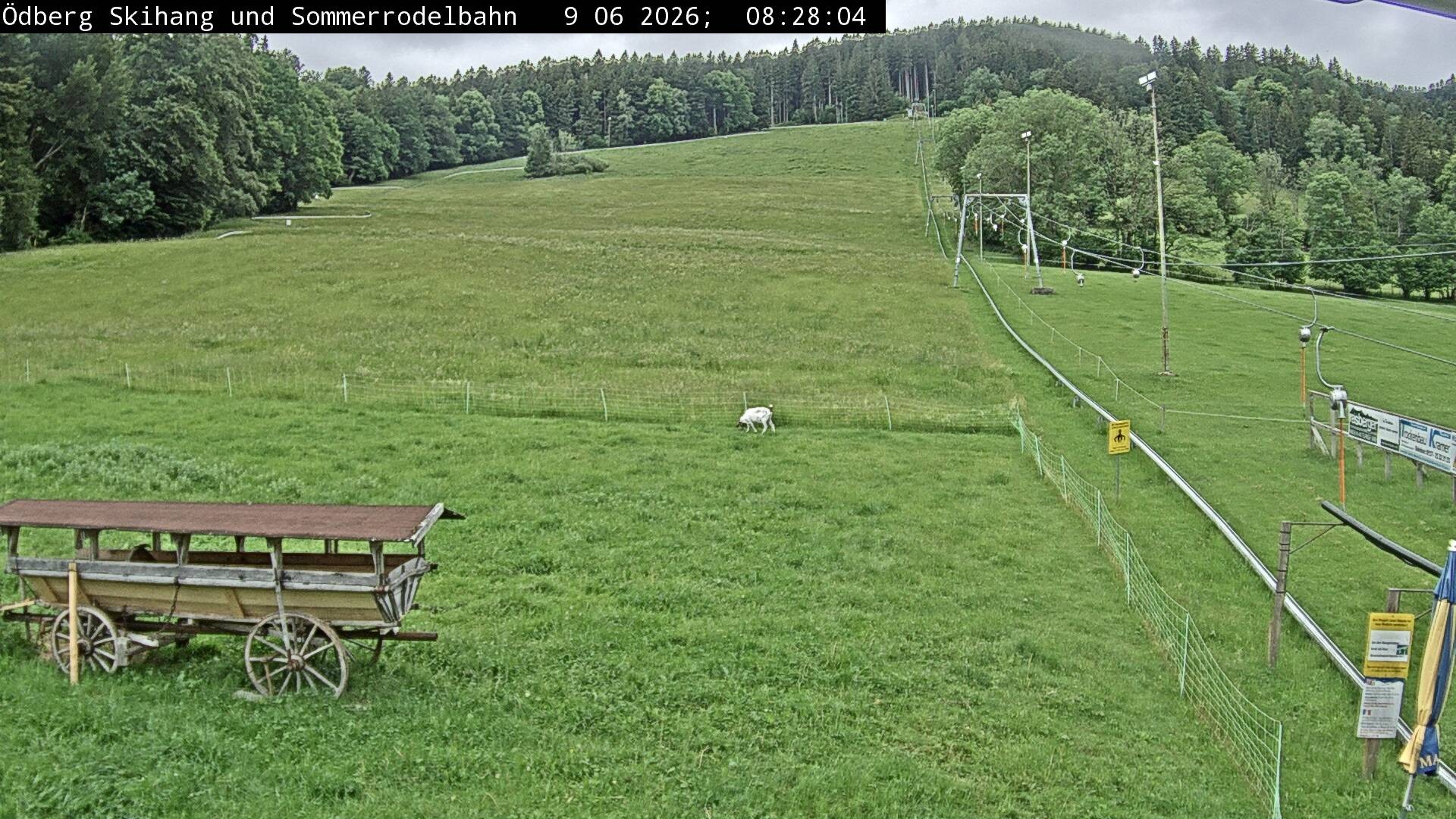 Archiv Foto Webcam Sommerrodelbahn Ödberg