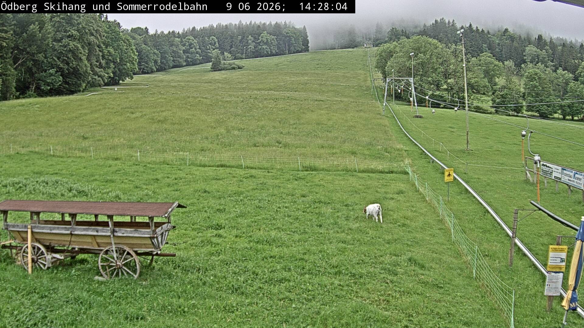 Archiv Foto Webcam Sommerrodelbahn Ödberg