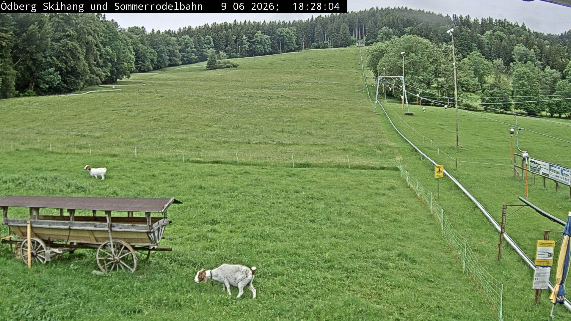 Archiv Foto Webcam Sommerrodelbahn Ödberg