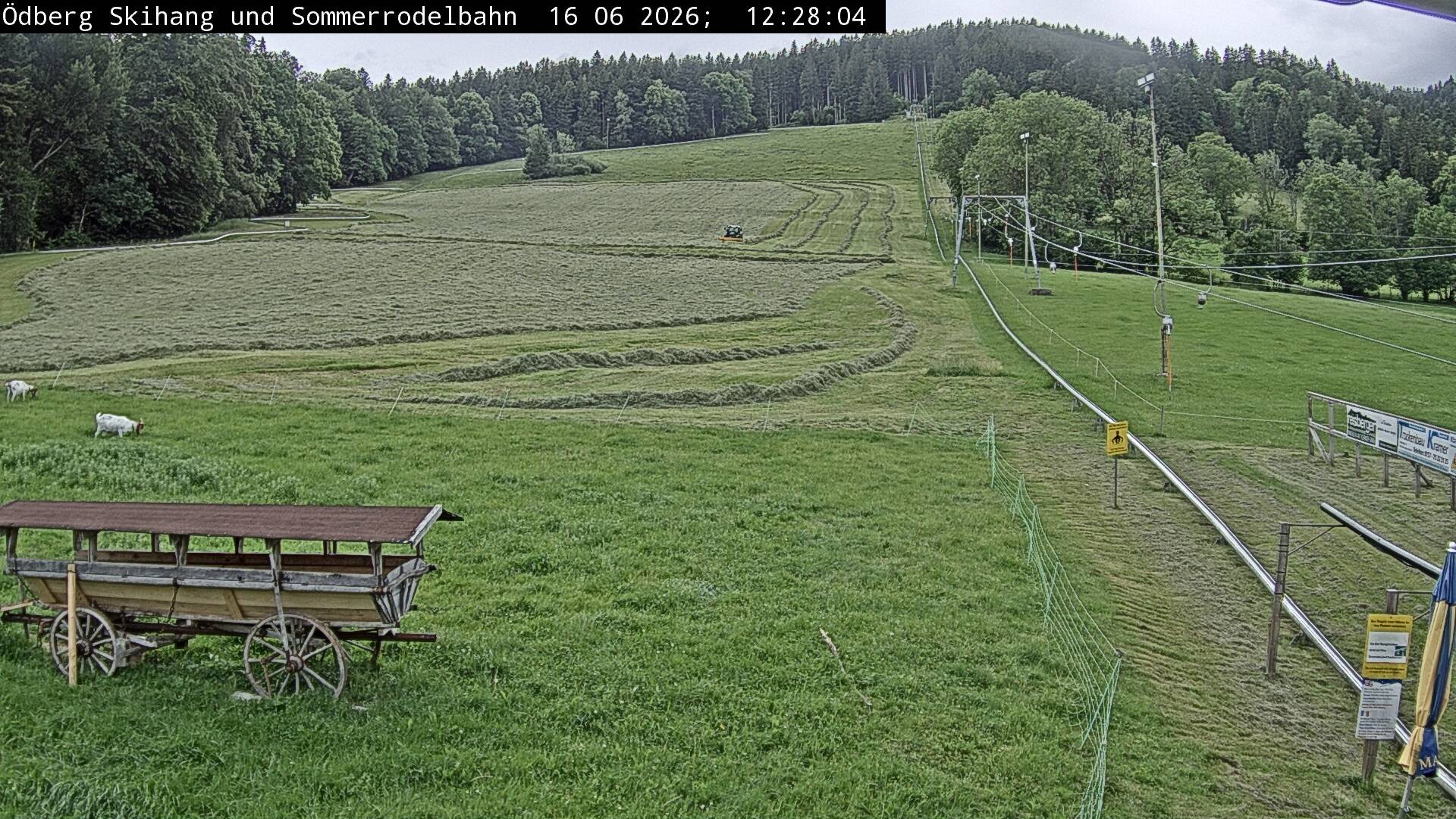 Archiv Foto Webcam Sommerrodelbahn Ödberg