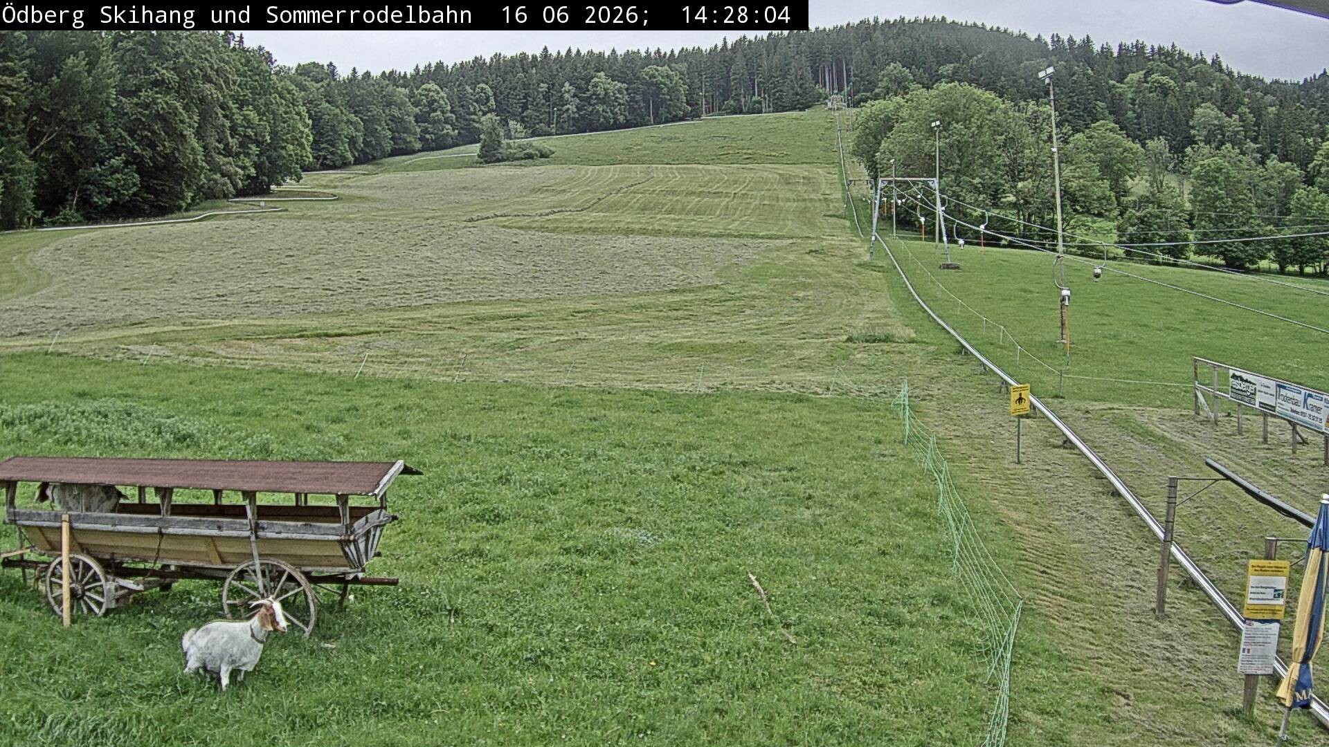 Archiv Foto Webcam Sommerrodelbahn Ödberg