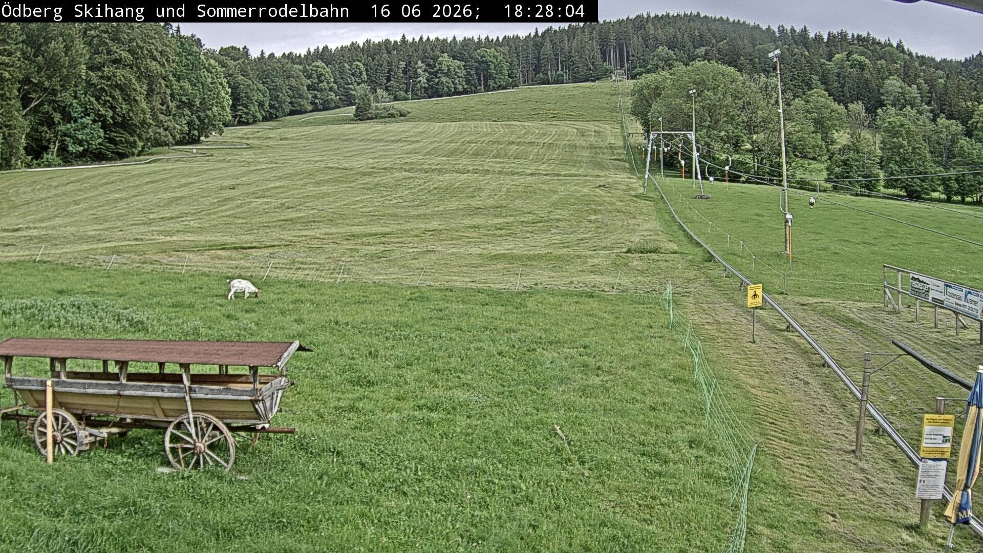 Archiv Foto Webcam Sommerrodelbahn Ödberg