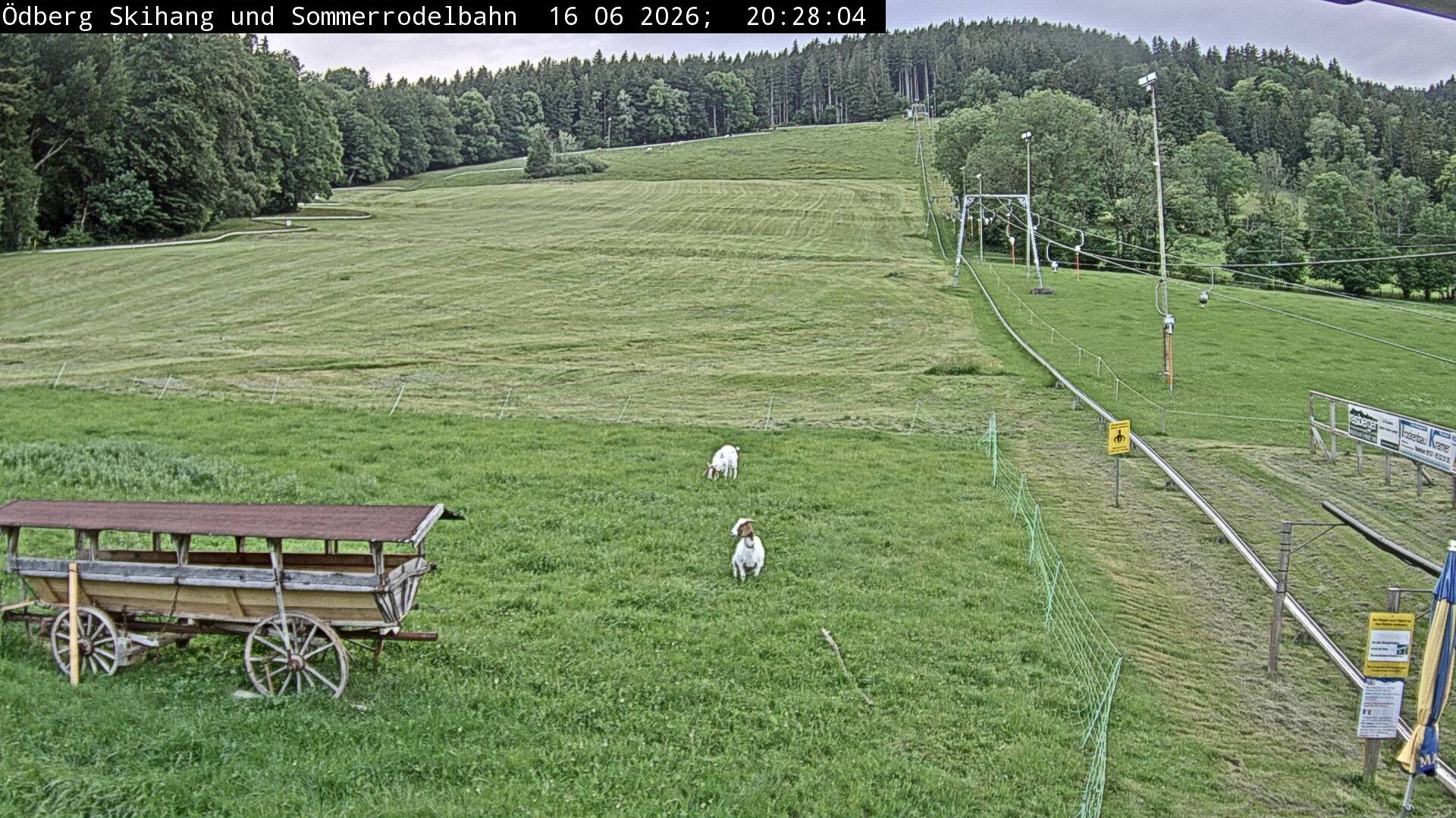 Archiv Foto Webcam Sommerrodelbahn Ödberg