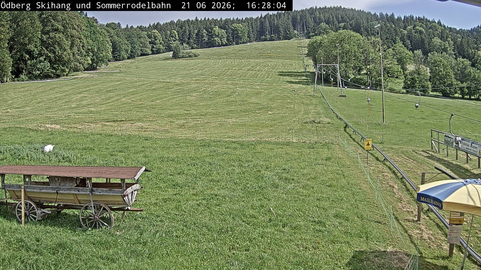 Archiv Foto Webcam Sommerrodelbahn Ödberg